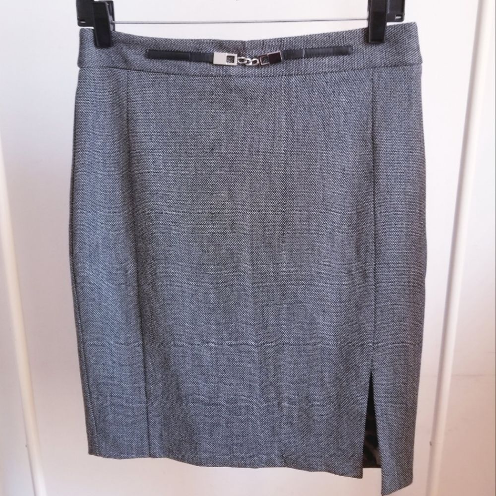 Express Pencil Skirt Size 6